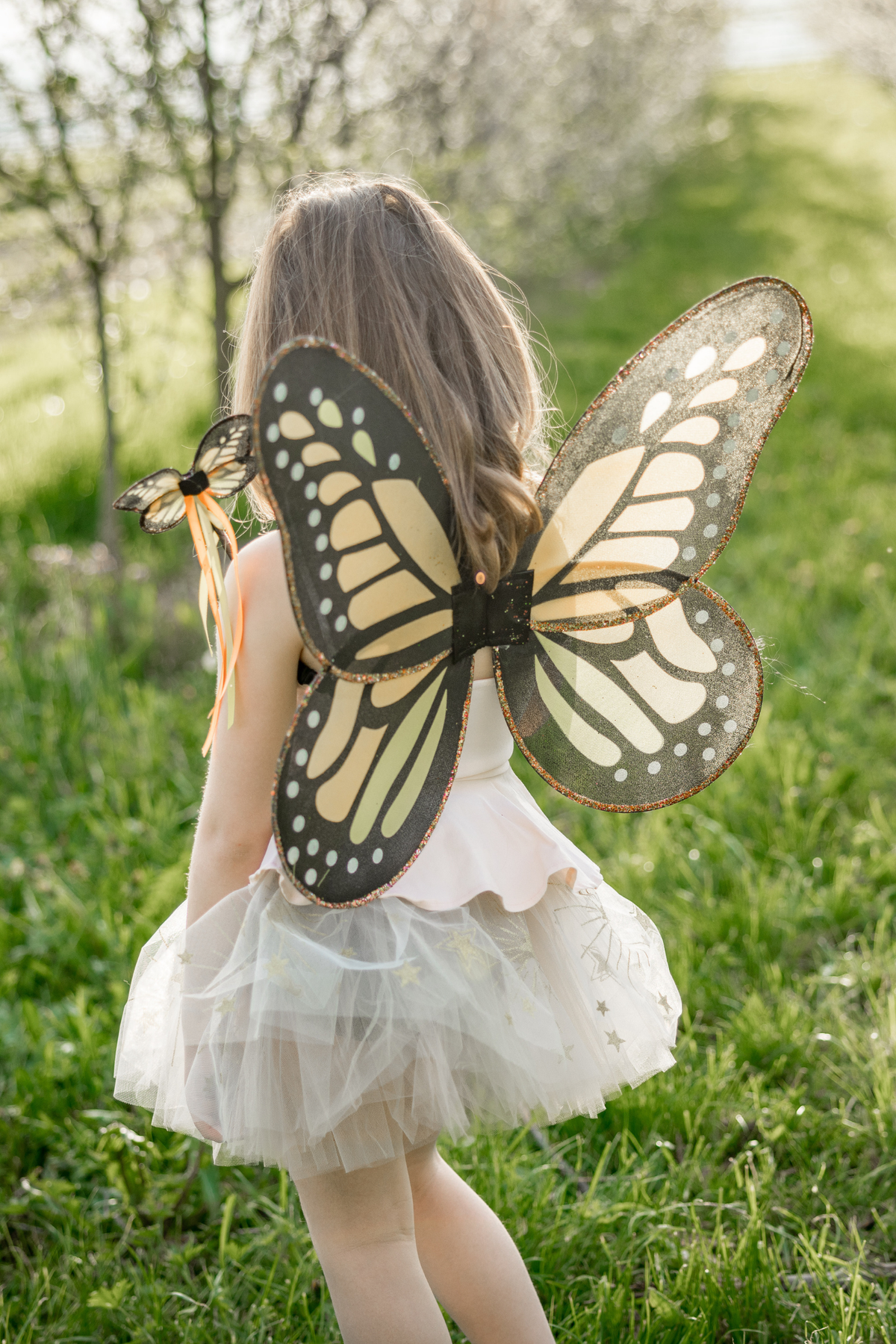 Monarch Wings & Wand Set