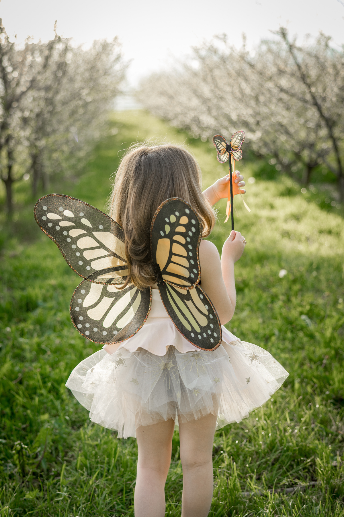 Monarch Wings & Wand Set