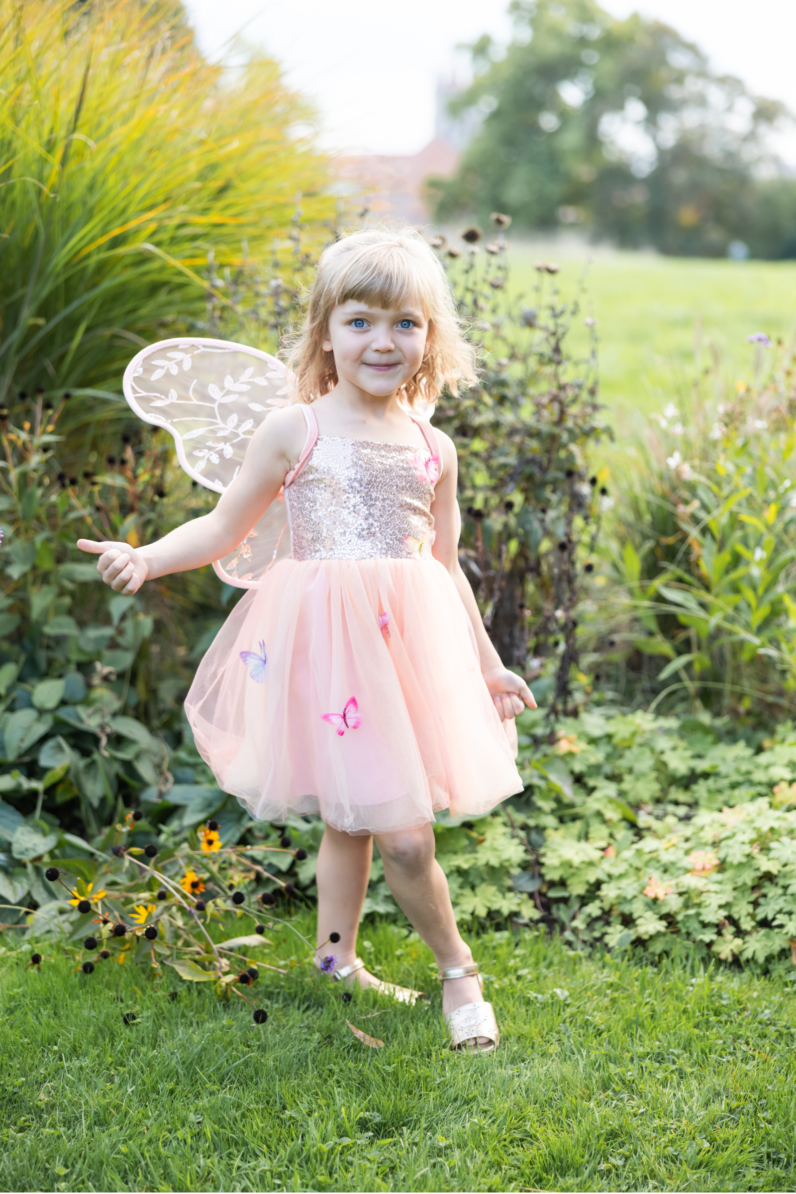 Butterfly Bliss Dress