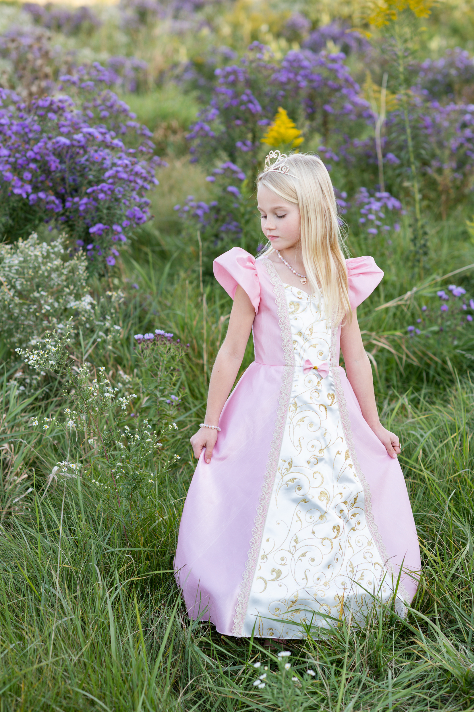 Paris Princess Gown