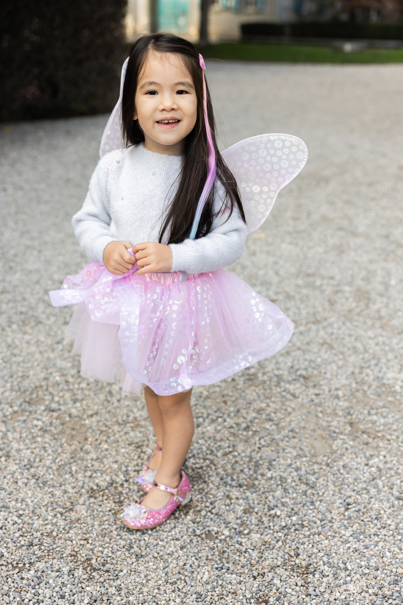 Crazy for Daisies Tutu, Wand & Wing Set