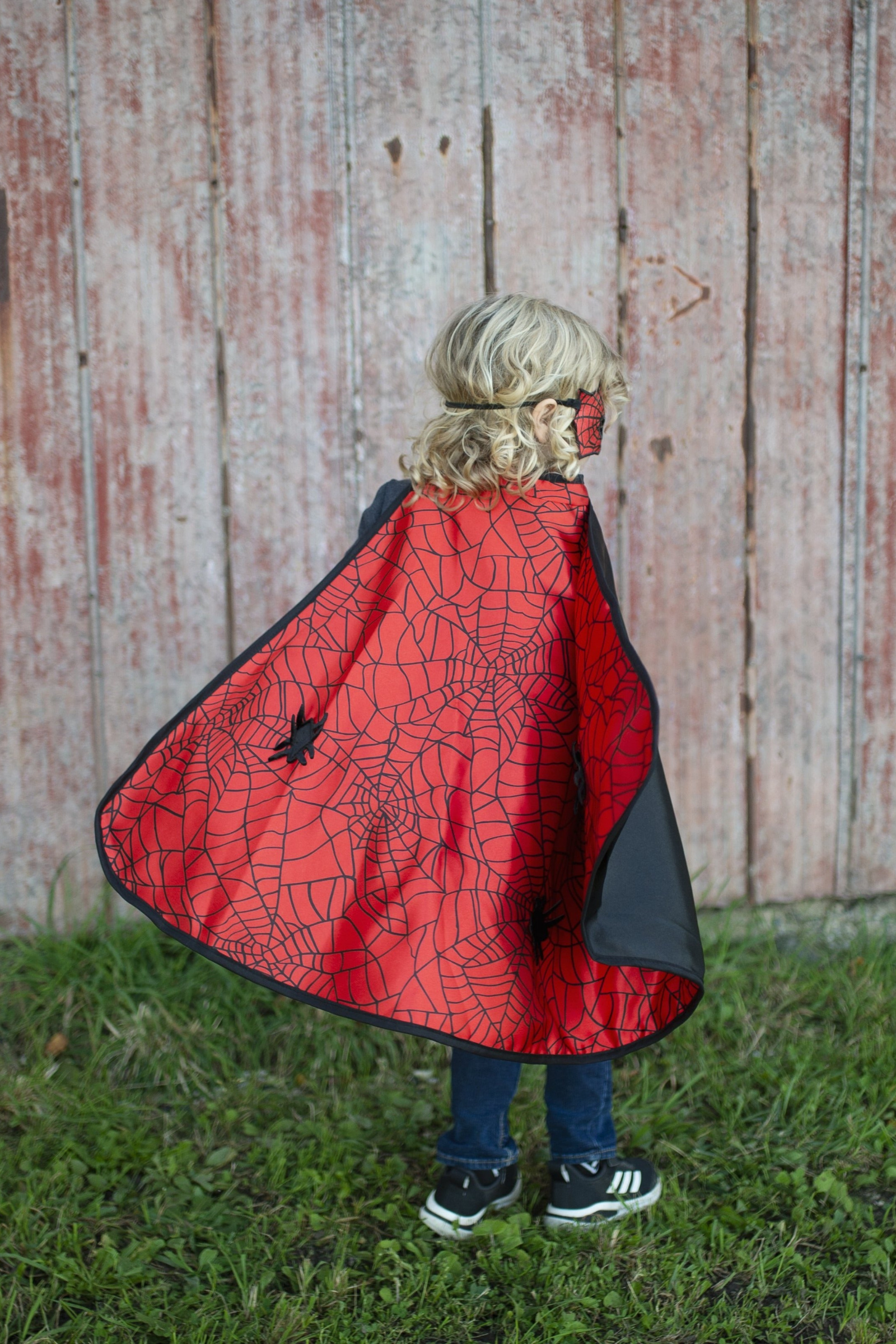 Spider Bat Reversible Cape and Mask