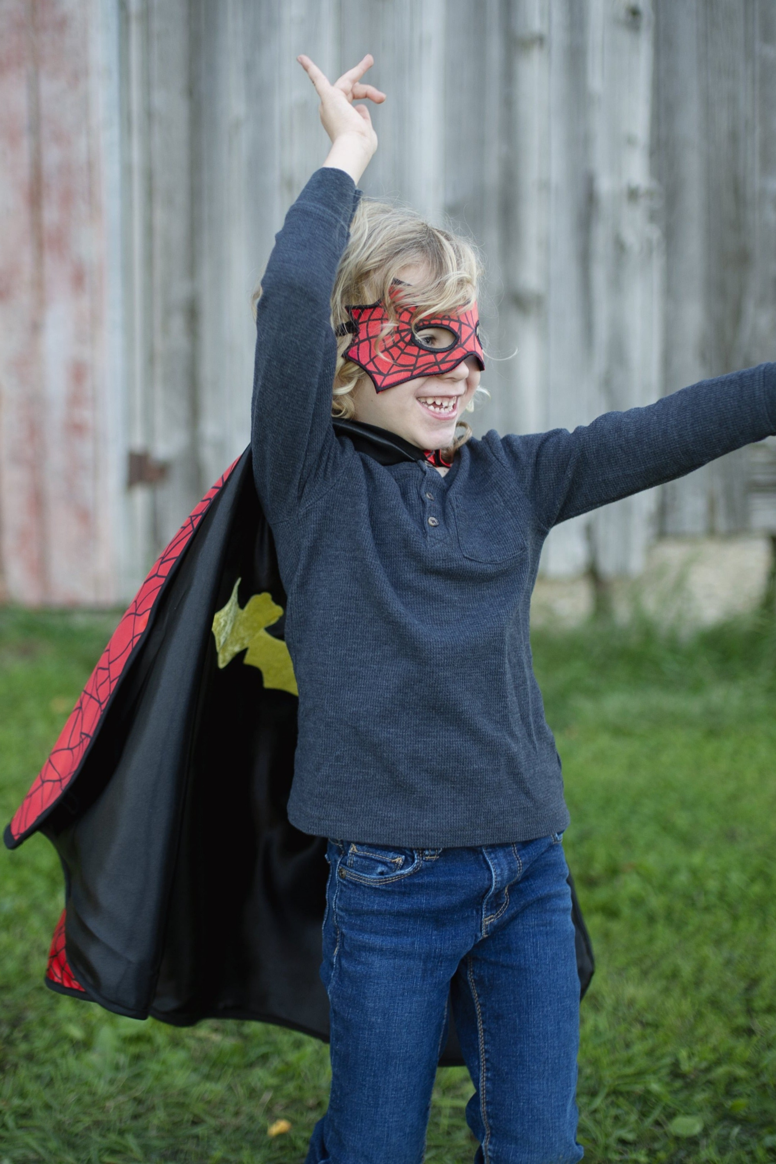 Spider Bat Reversible Cape and Mask