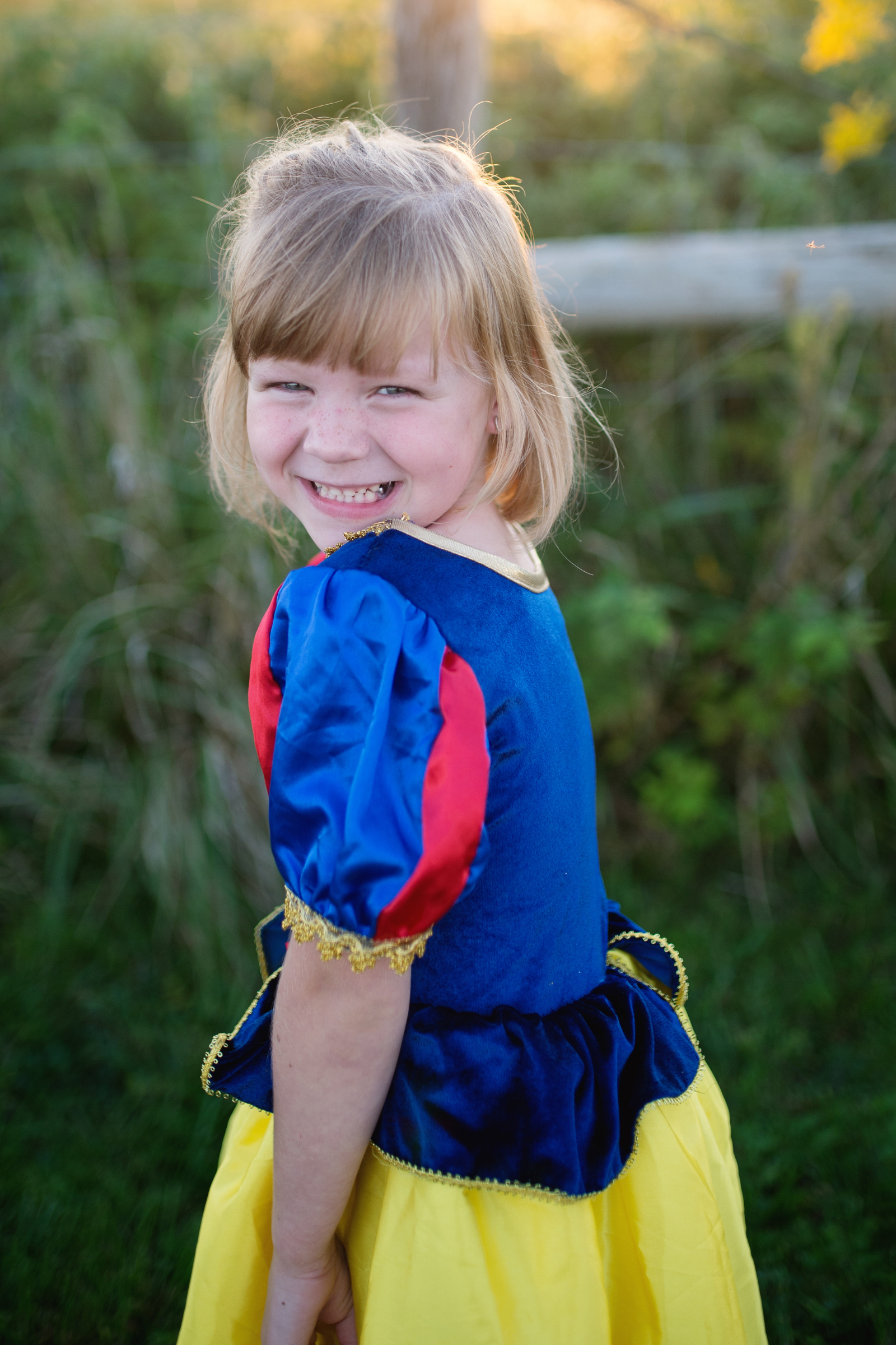 Deluxe Fairytale Princess Gown