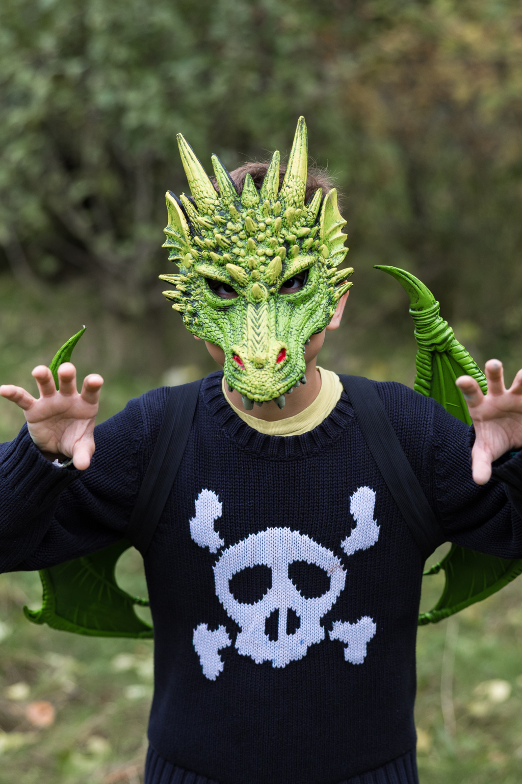 Dragon Mask Dragon Mask