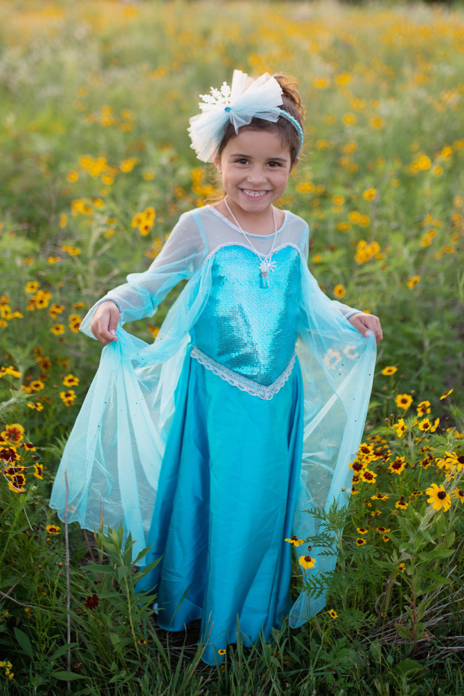 Ice princess deals dress