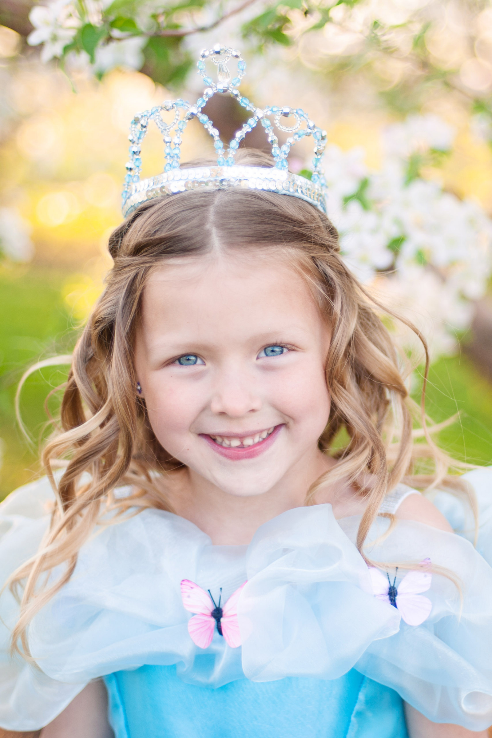 Cinderella Tiara Silver Blue