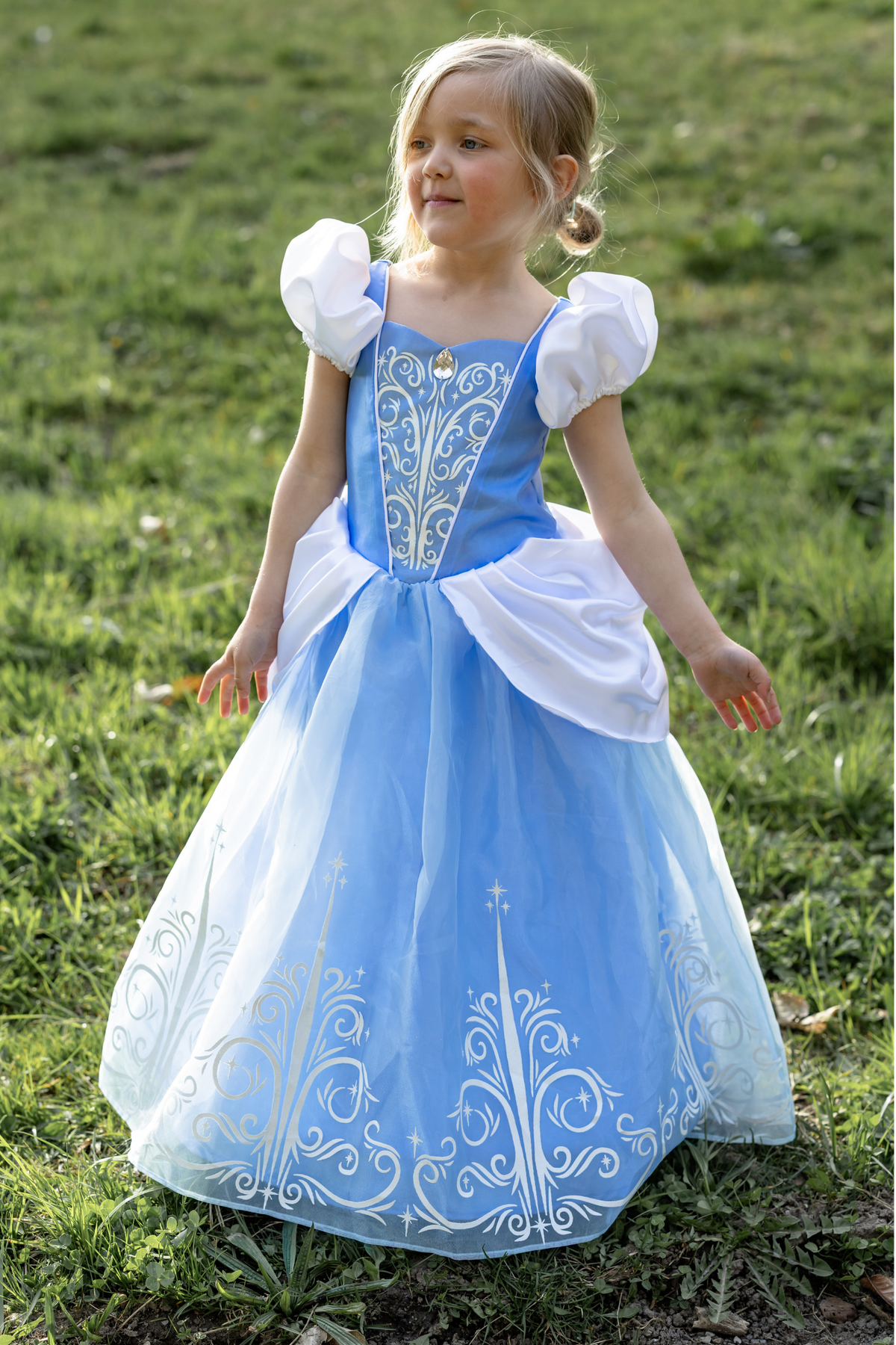 Once Upon a Princess Cinderella Dress 2-3