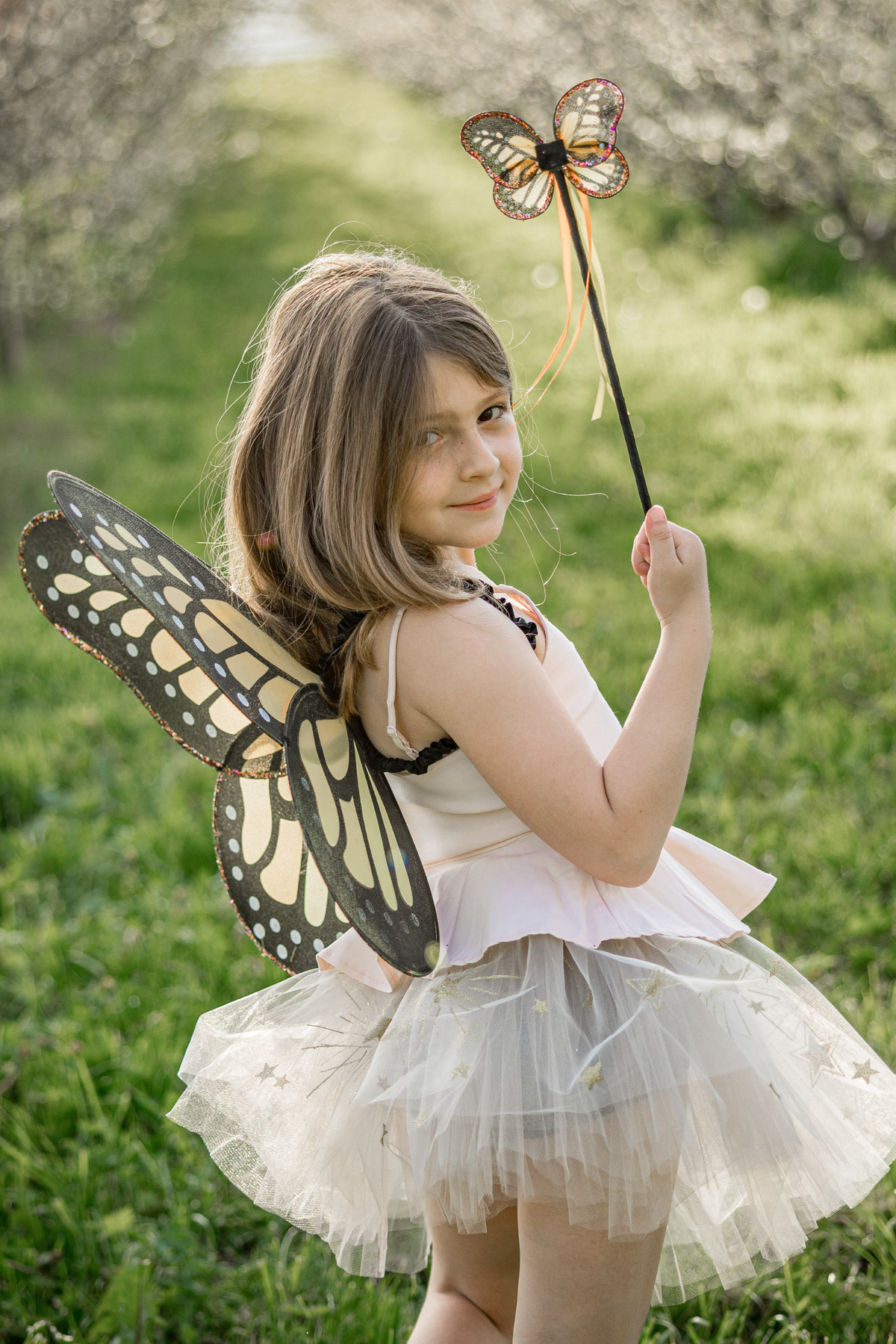 Monarch Wings & Wand Set