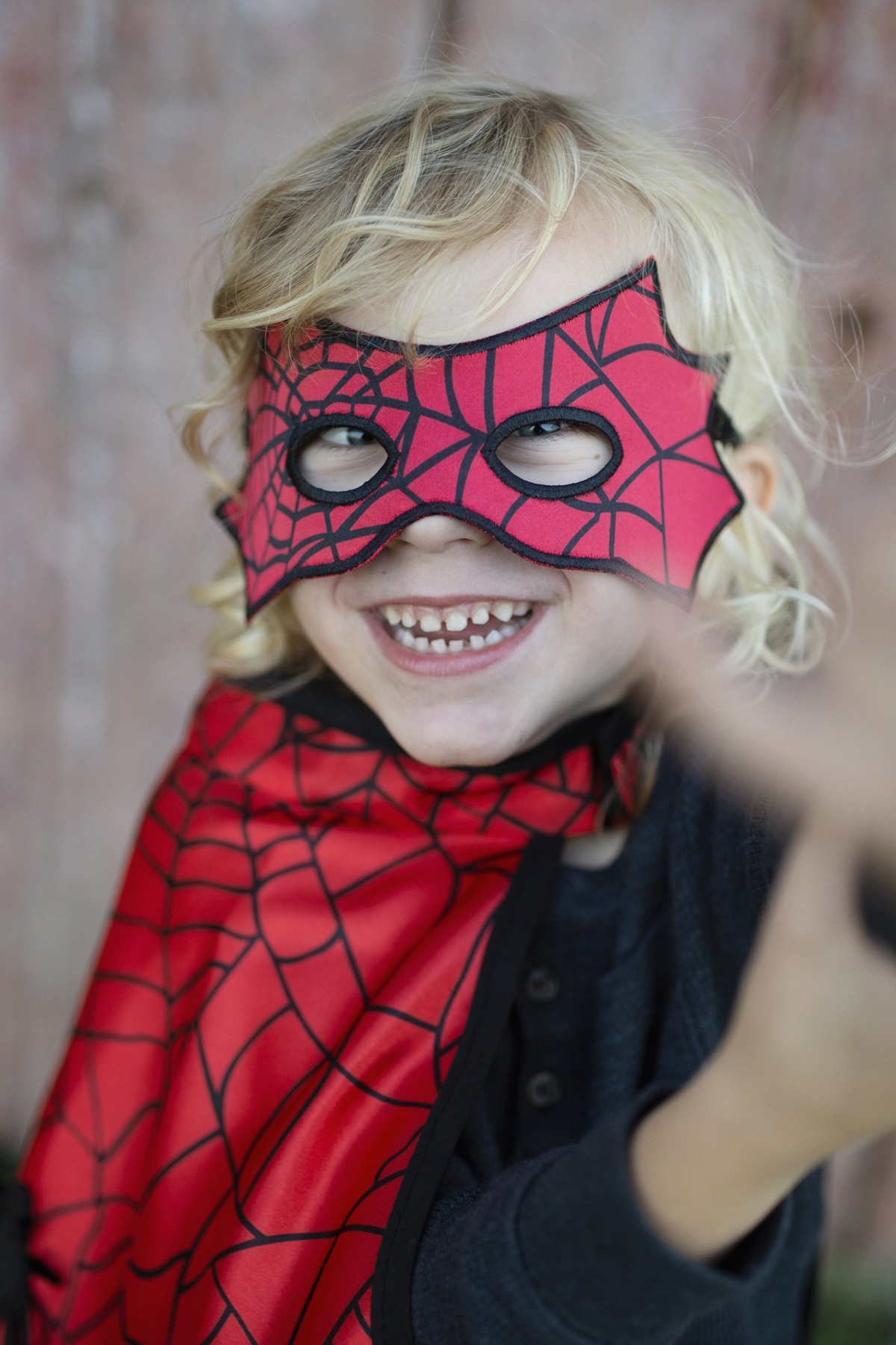 Reversible Spider Bat Cape & Mask