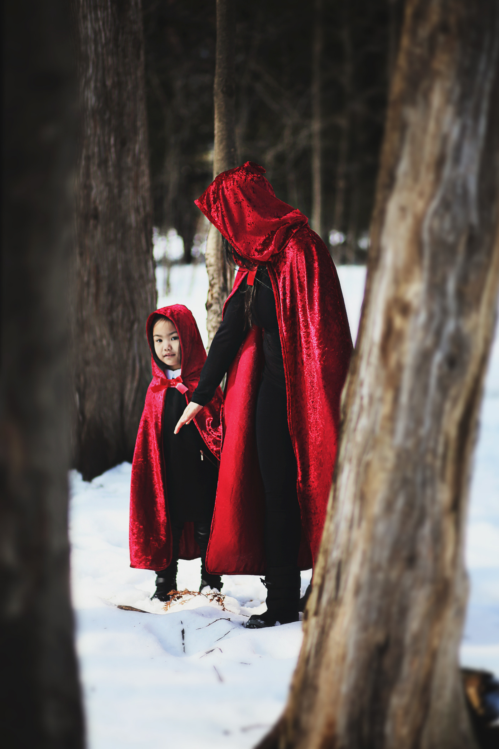 Red riding hood hot sale coat