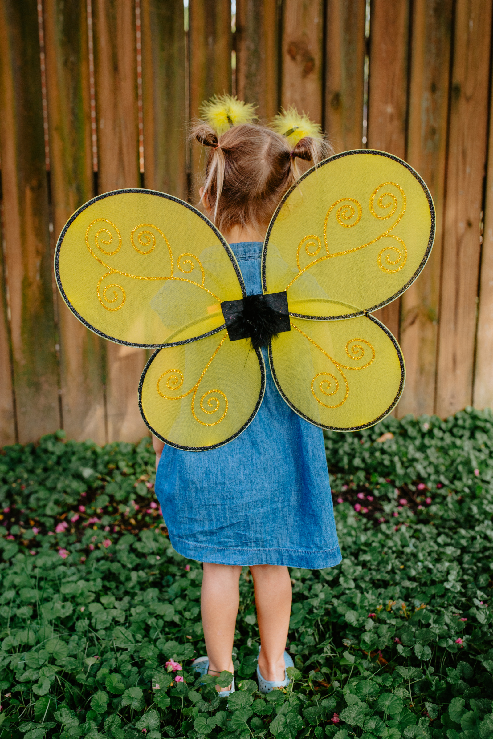 Bumble Bee Wings & Headband