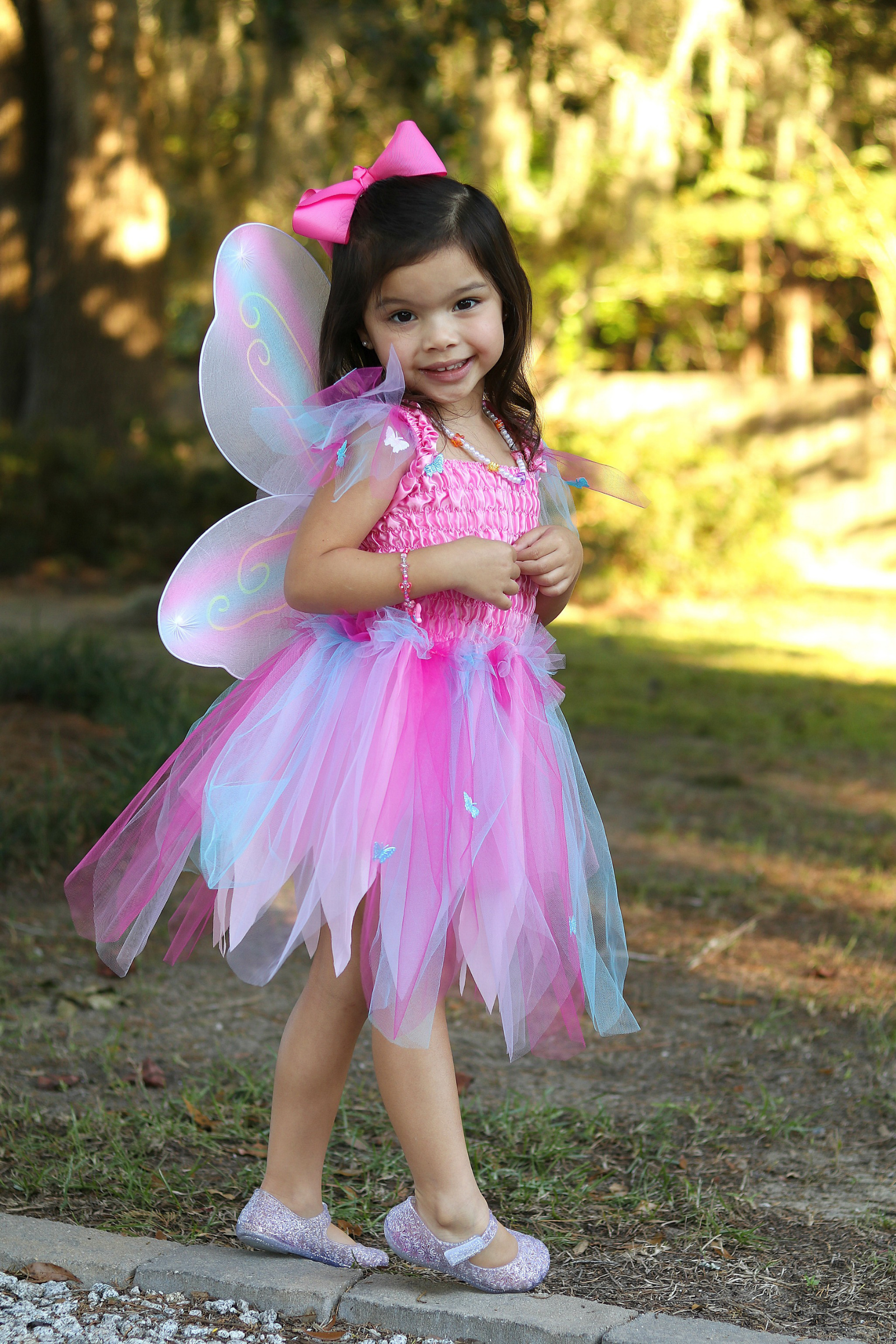 Butterfly Dress w/Wings & Wand, Pink/Multi