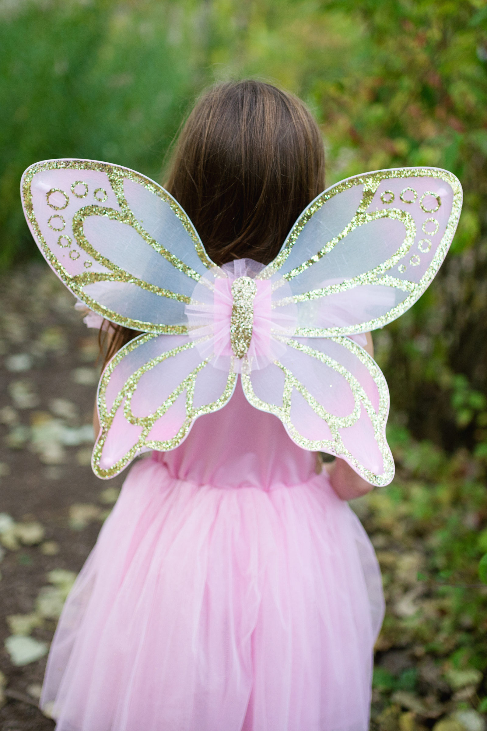 Gold Butterfly Dress with Fairy Wings