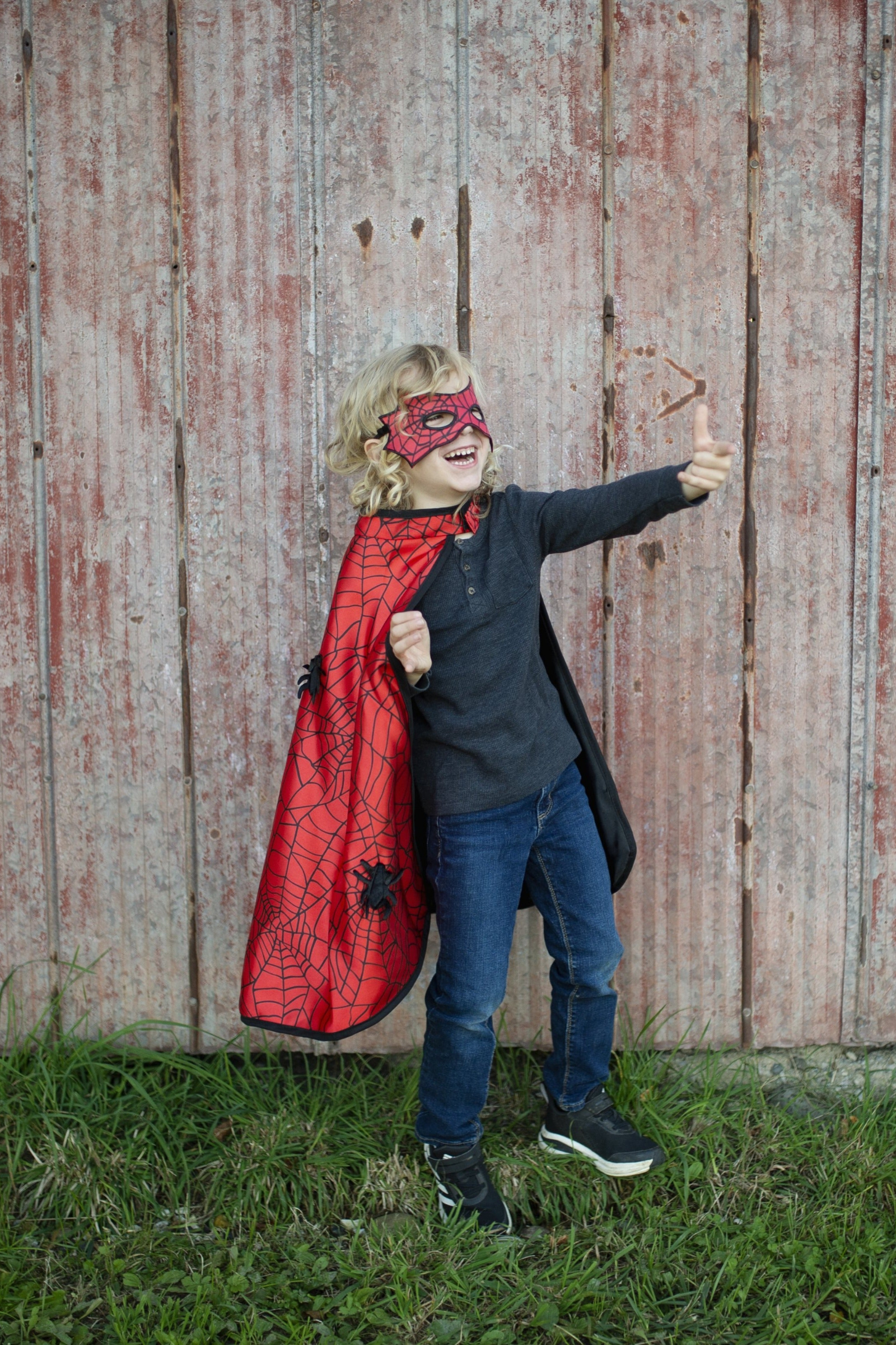 Spider Bat Reversible Cape and Mask