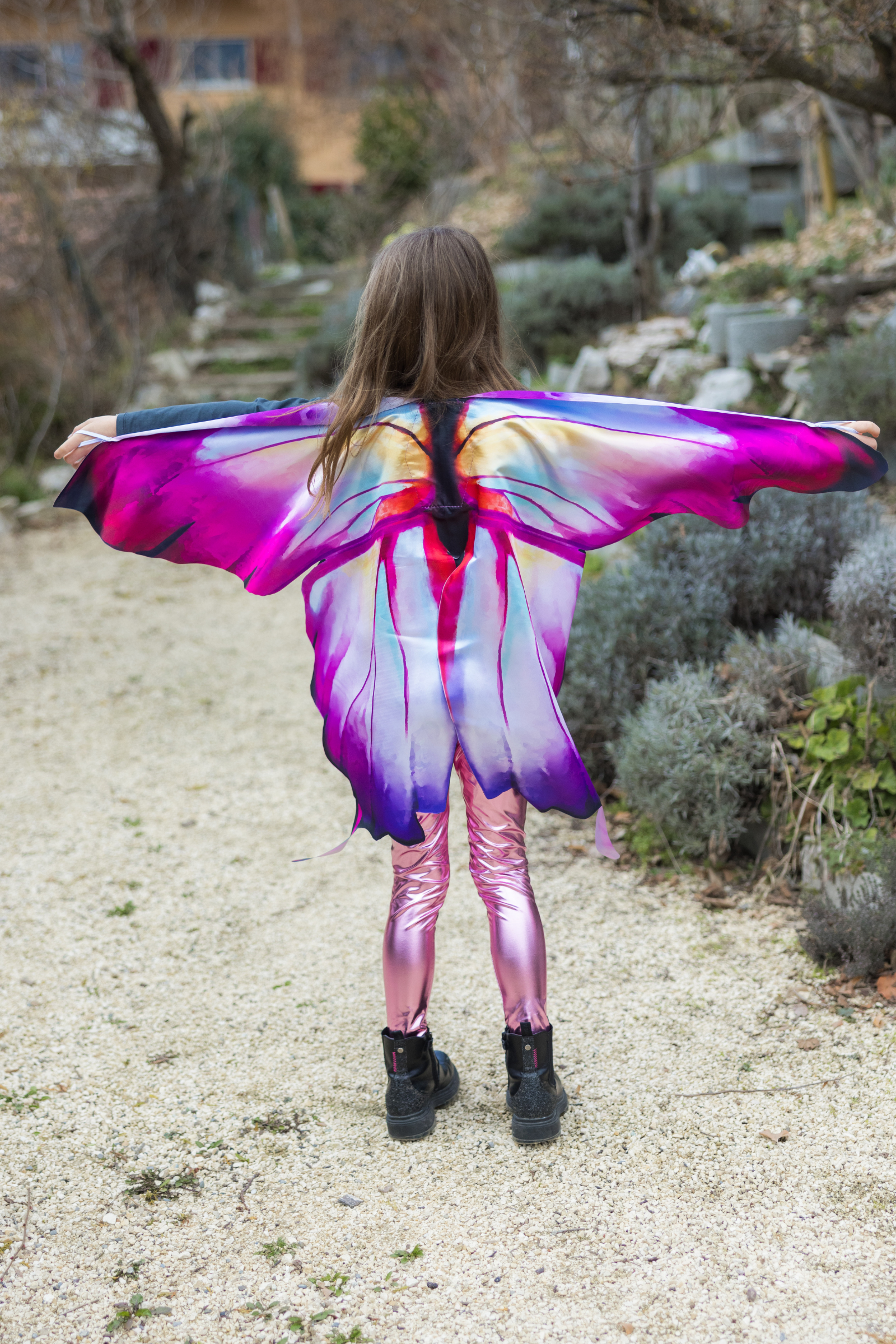Ombre Butterfly Soft Wings