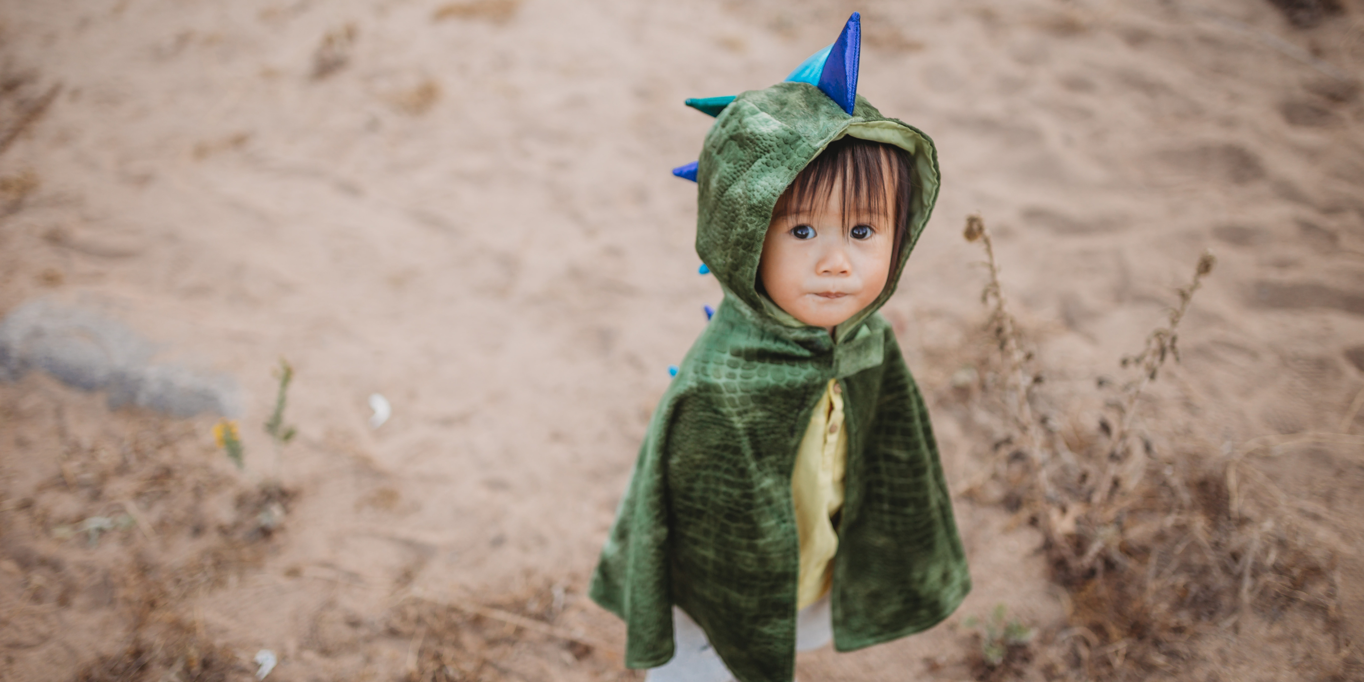 christmas dinosaur dress Dino Christmas Party