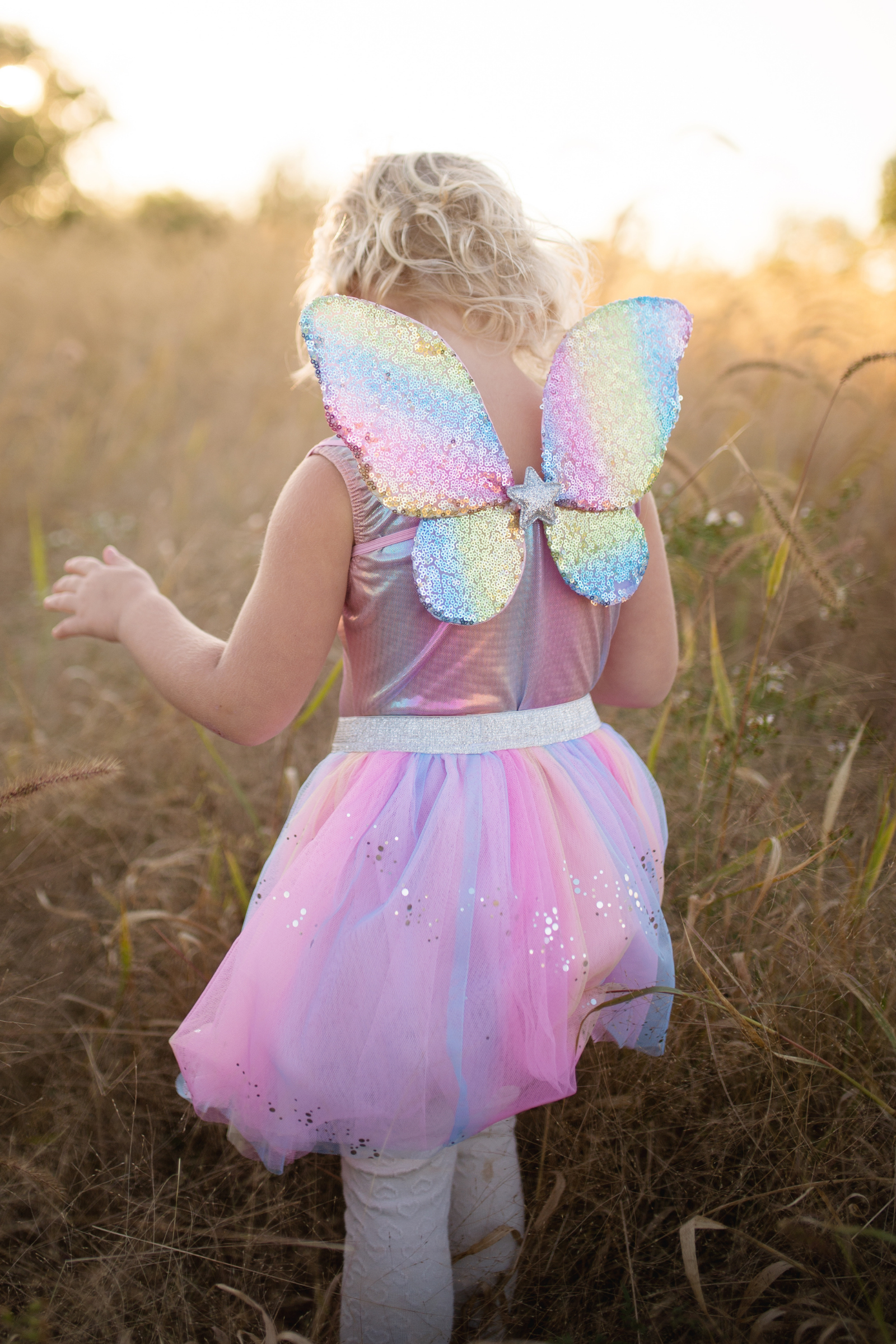 Rainbow Sequins Skirt, Wings & Wand