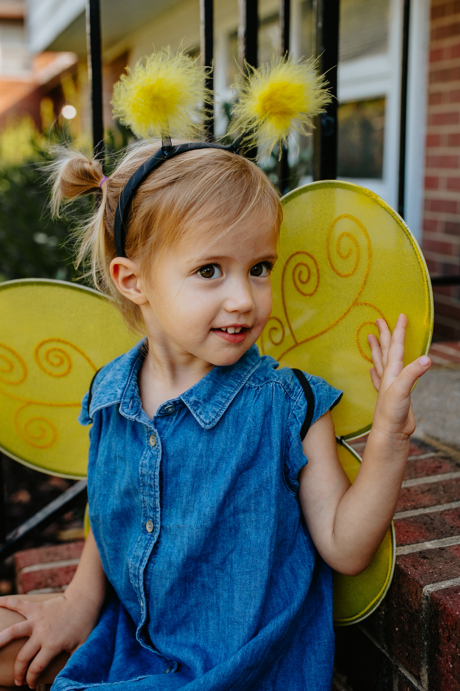 Bumble Bee Wings & Headband