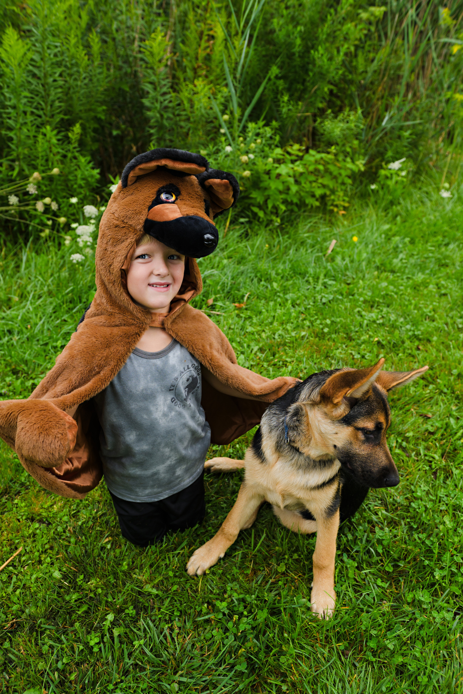 New Chala Patch Crossbody Bag Canvas Dark Brown German Shepherd Dog Coin  Purse | eBay