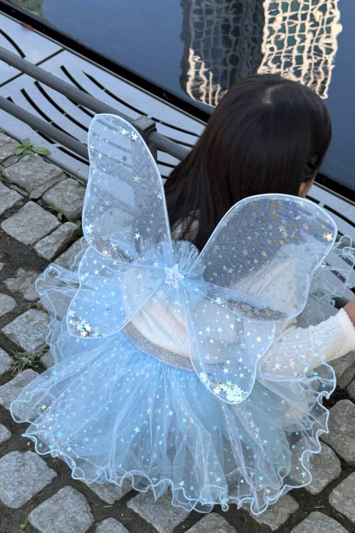 Iridescent Celestrial Fairy Wings, Tutu, Wand