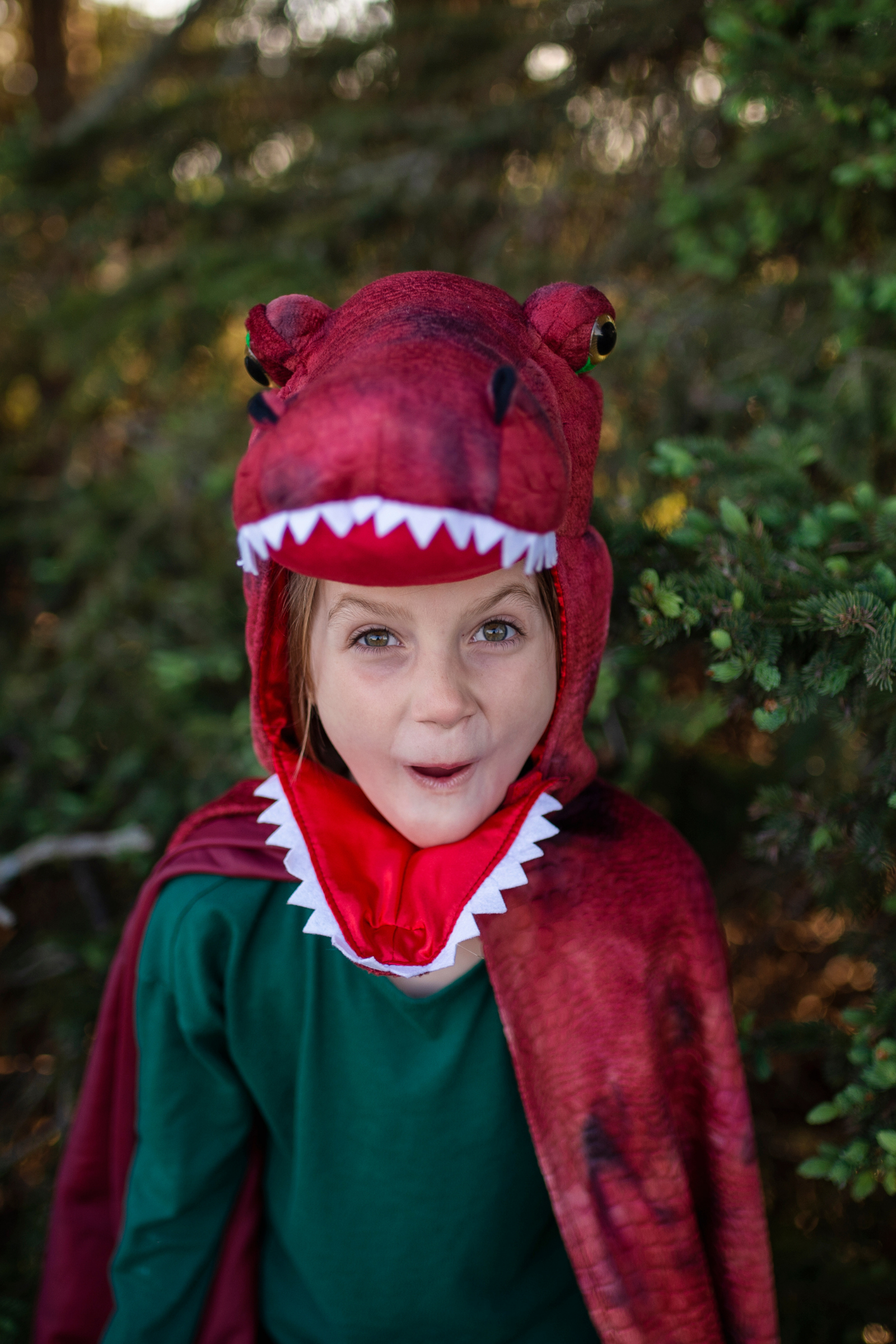 Red & Black Grandasaurus T-Rex Cape with Claws
