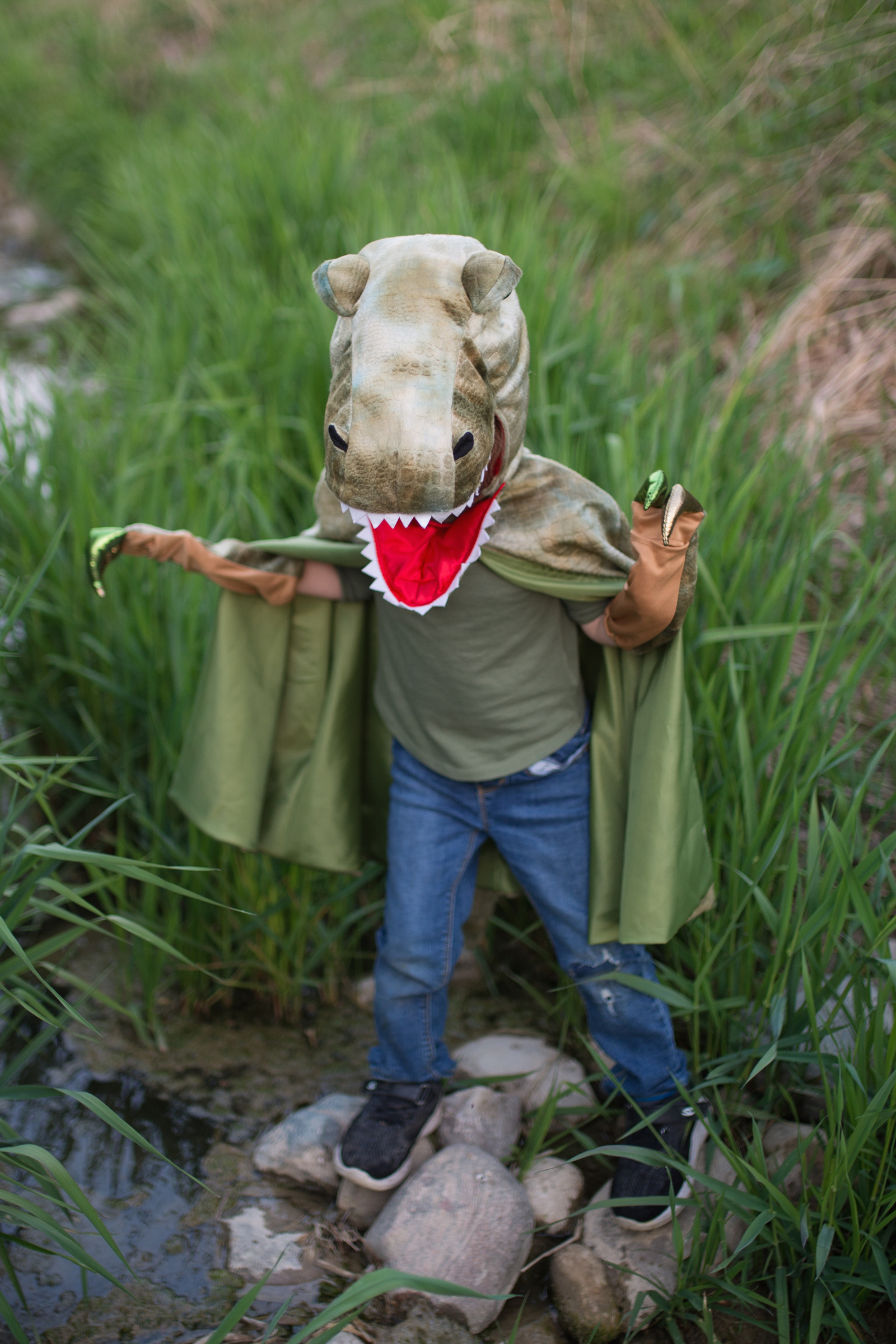 Grandasaurus T-Rex Cape with Claws