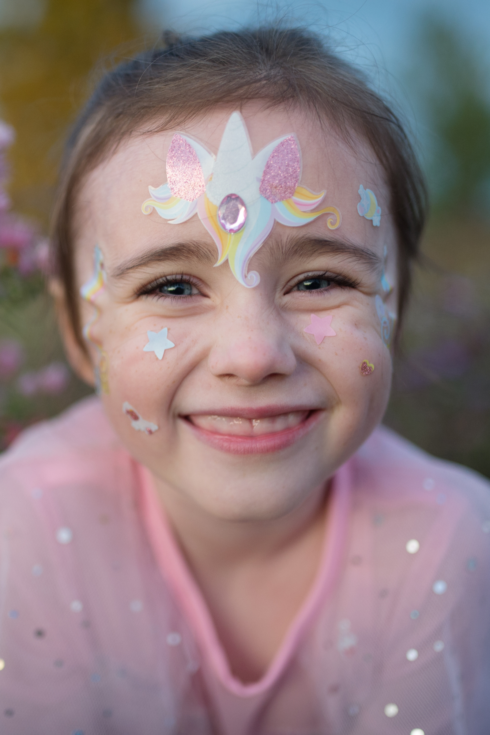 Unicorn Fairy Face Stickers