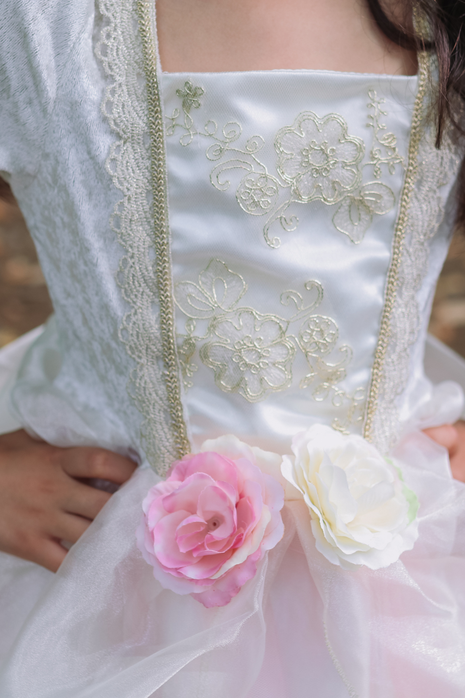 Golden Rose Princess Dress