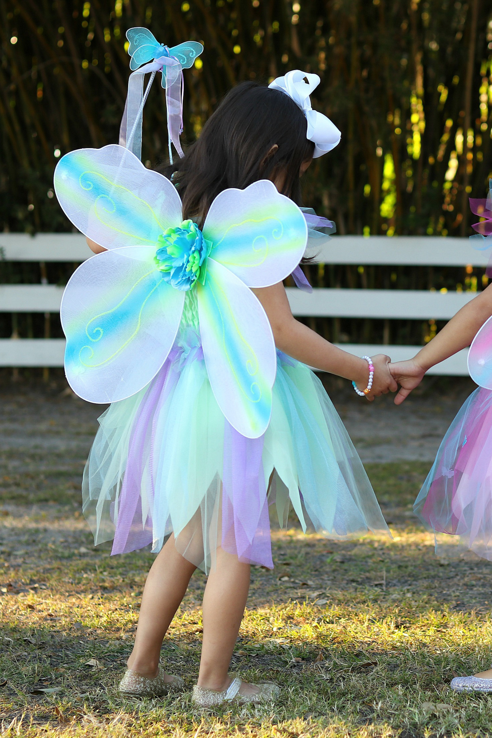 Butterfly Dress & Wings With Wand Green/Multi