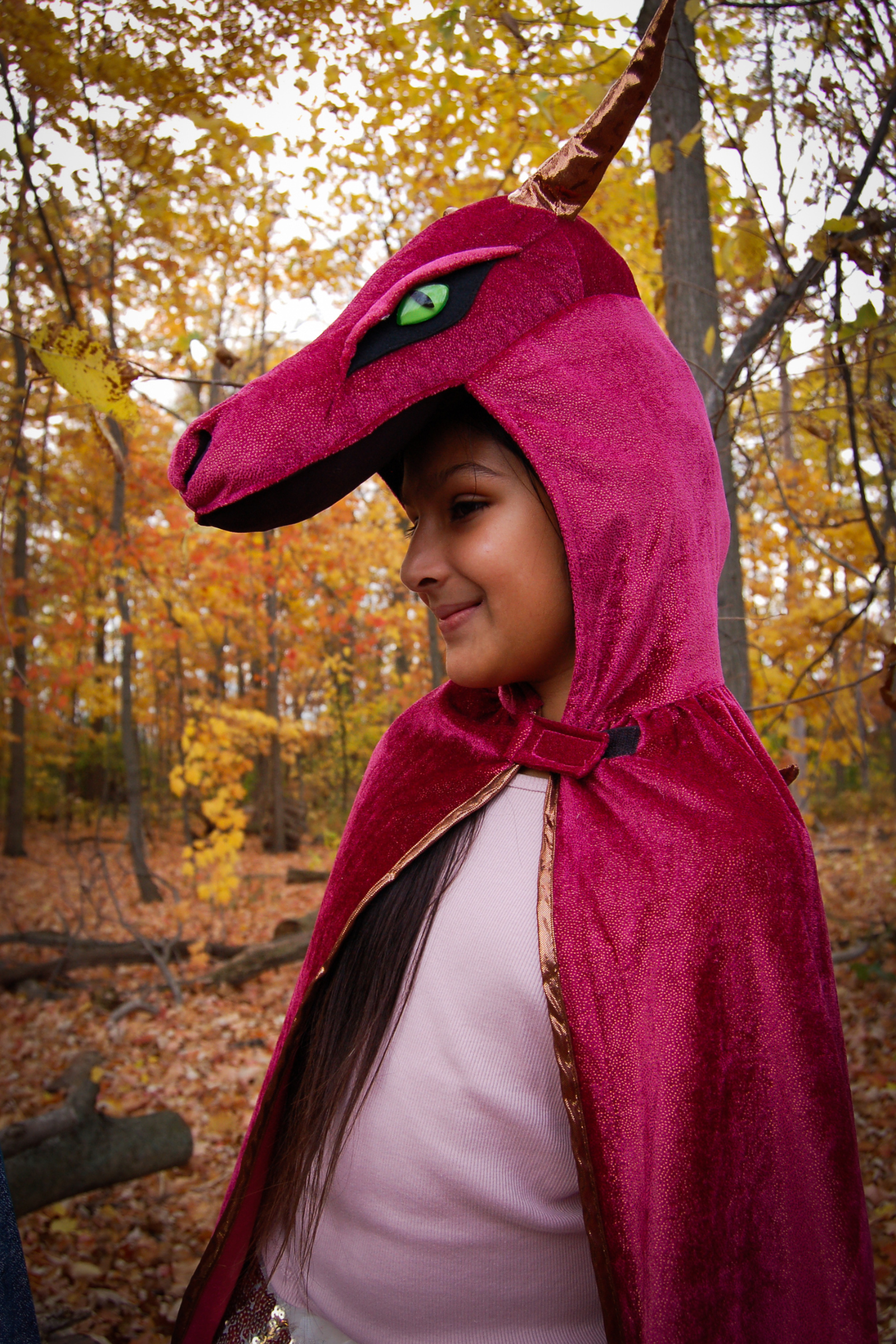 Red and Copper Starry Night Dragon Cape