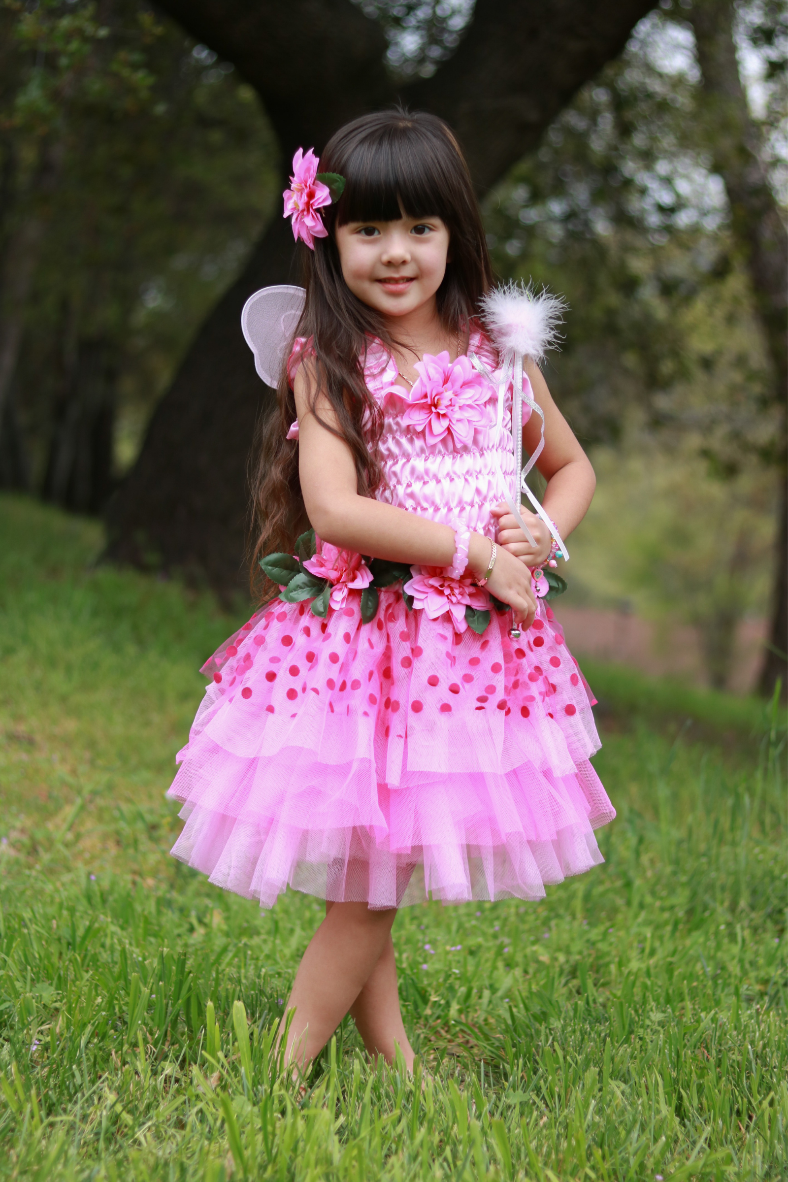 Fairy Blooms Deluxe Dress & Wings Size 3-4 / Green