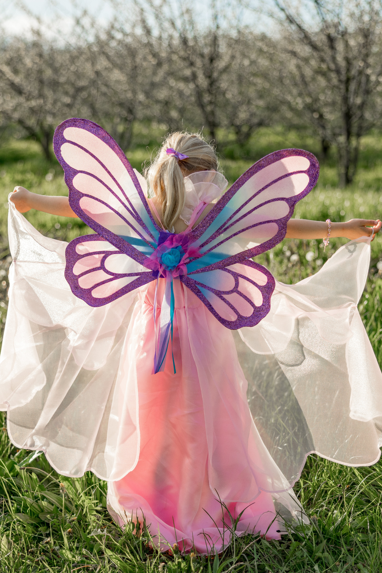 Fluttering Fairy Wings, Limited Edition