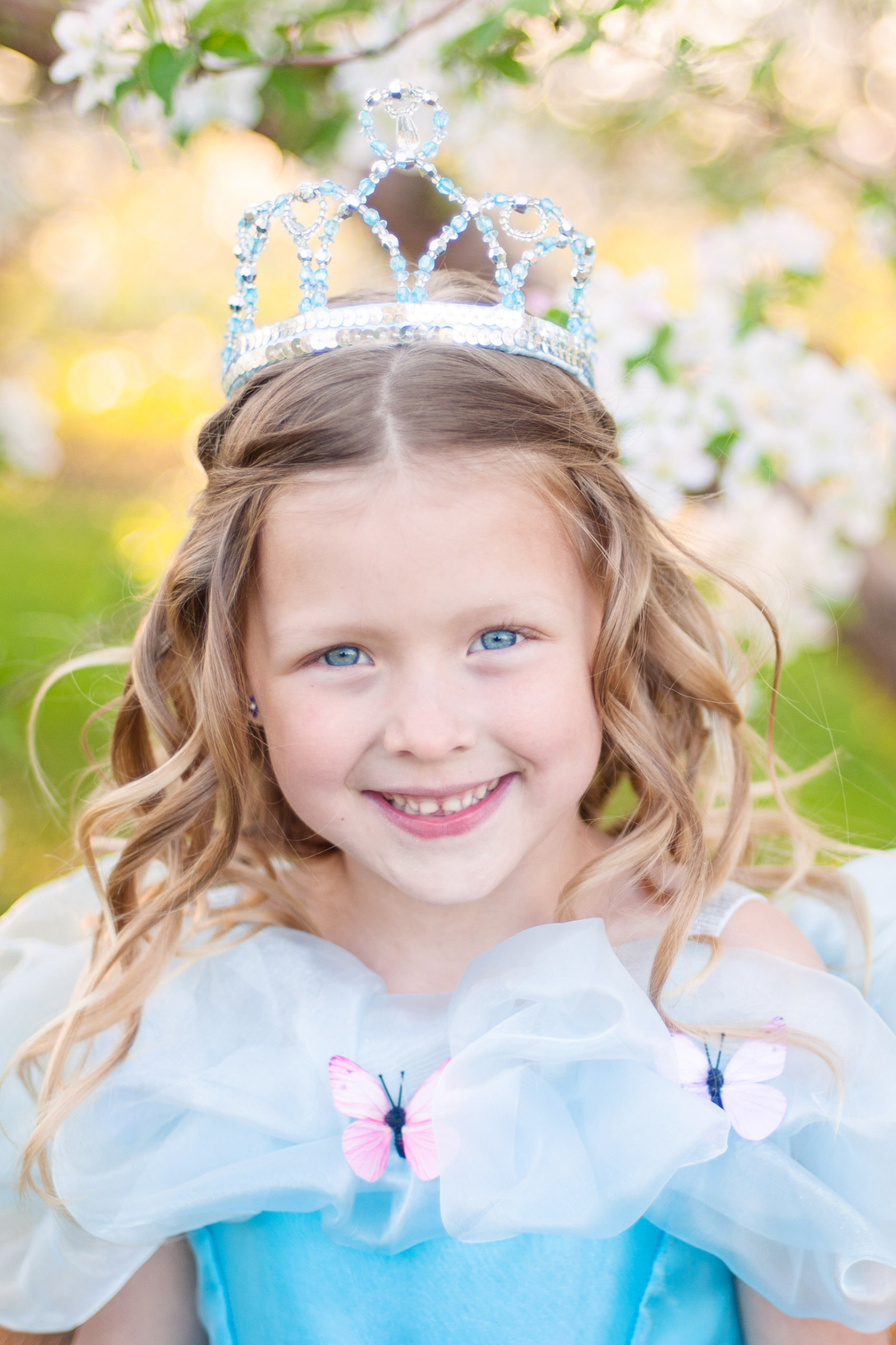 Cinderella Tiara Silver & Blue